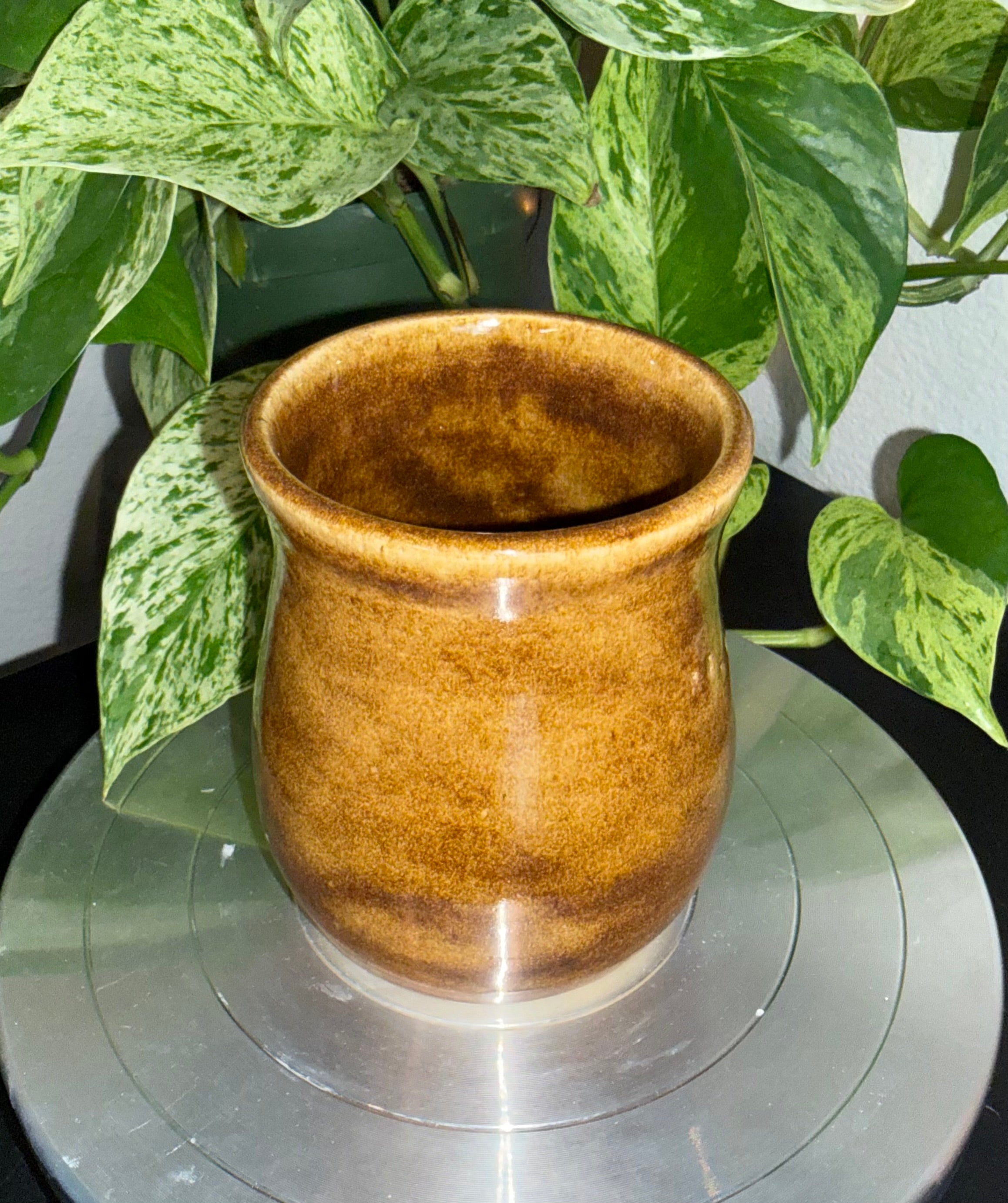 Tigers Eye Pen Pot