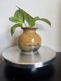 Bud Vase