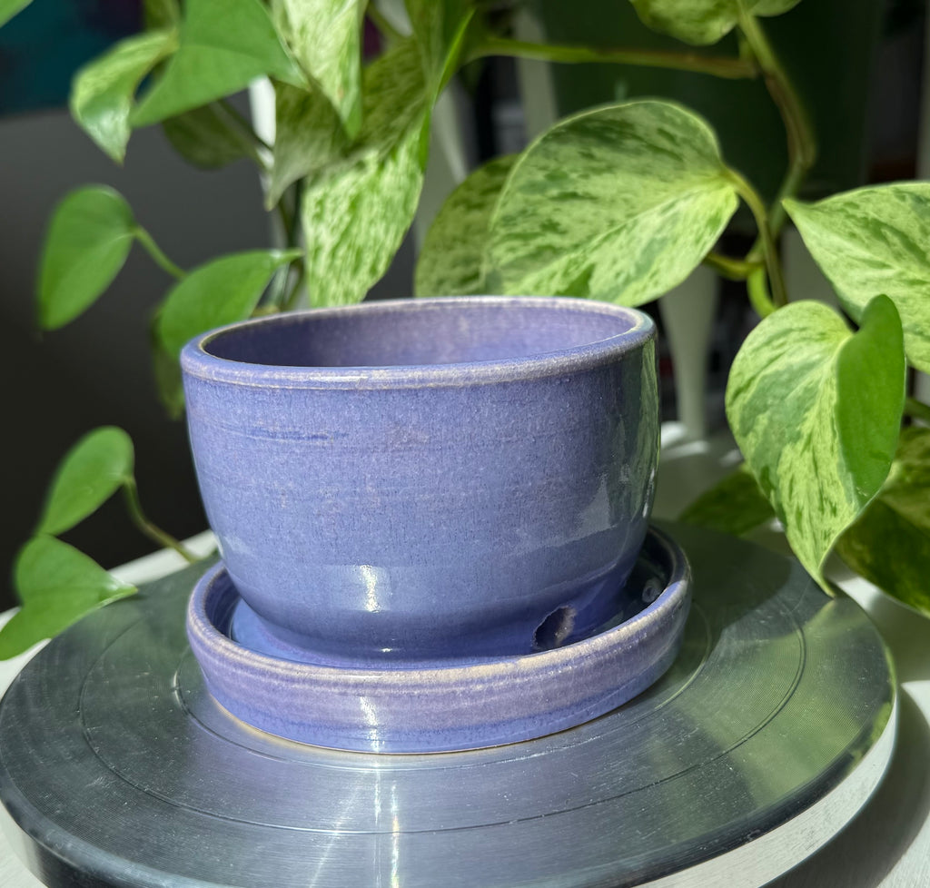 Purple Planter - 3”