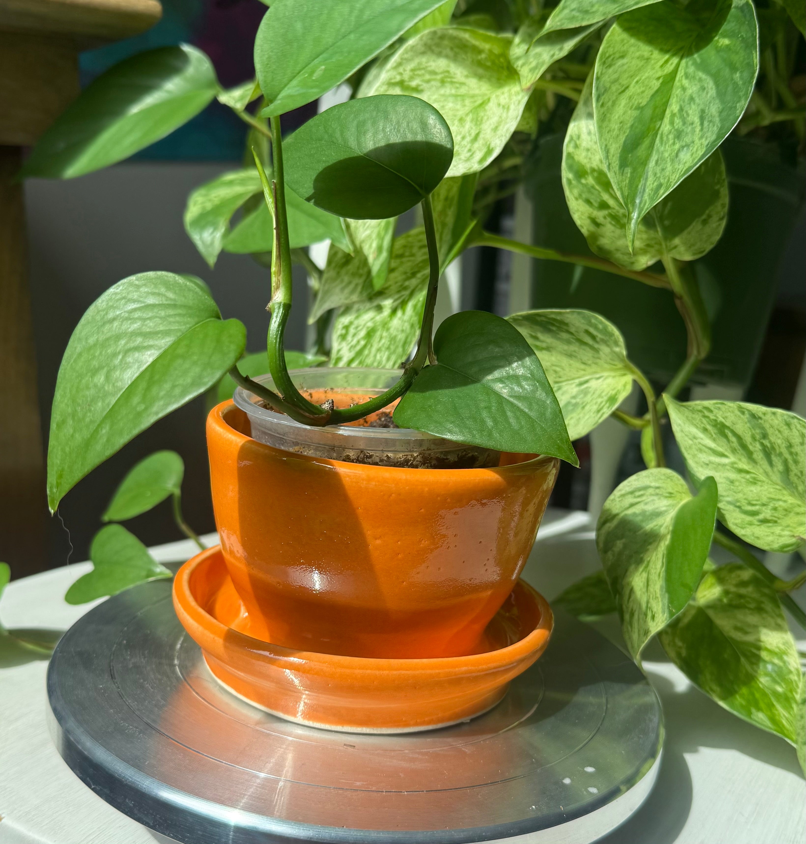 Orange Planter - 3”