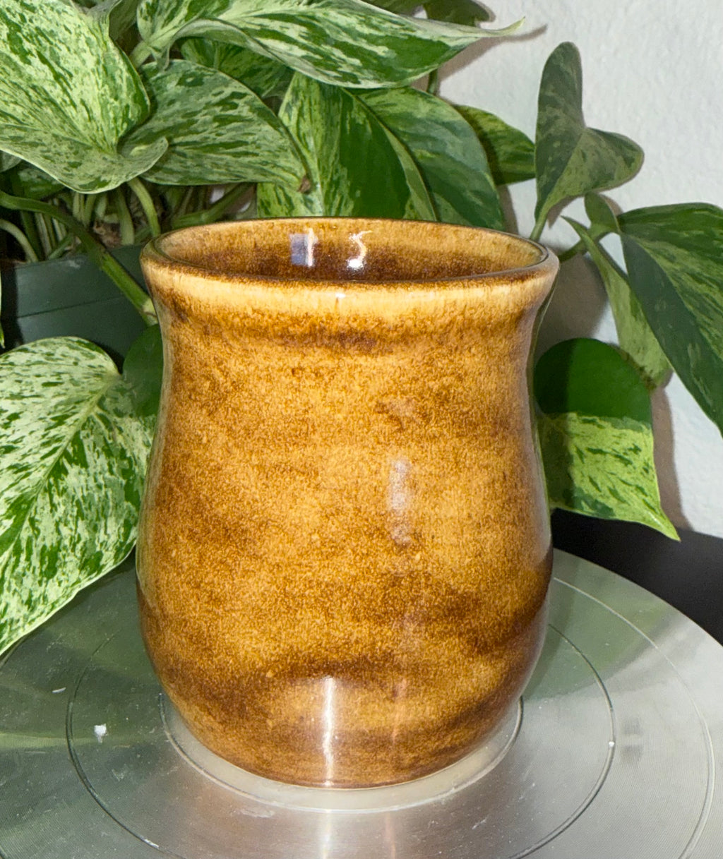 Tigers Eye Pen Pot