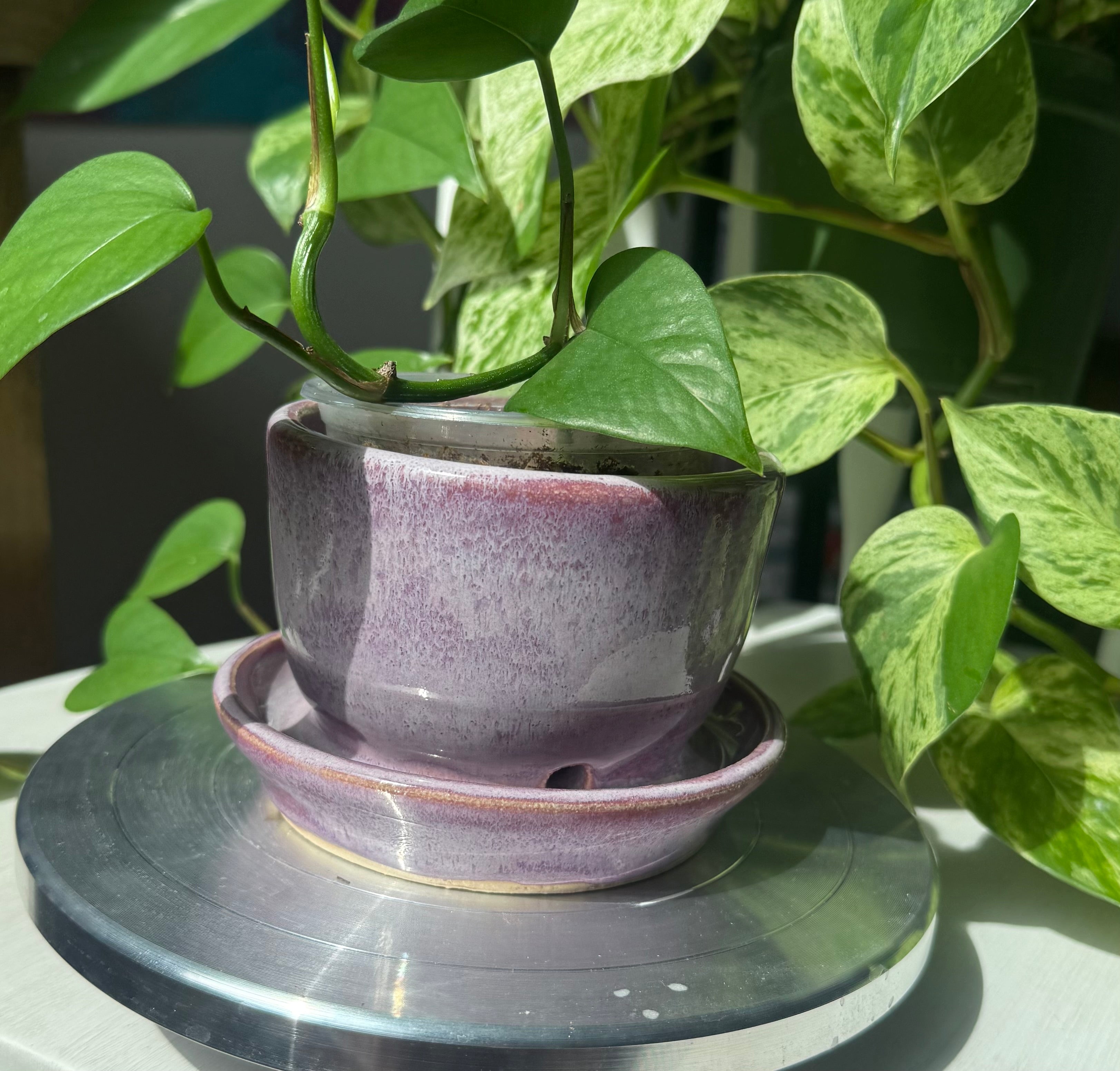 Pink Planter - 3”