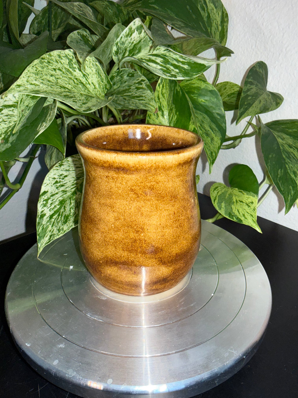 Tigers Eye Pen Pot