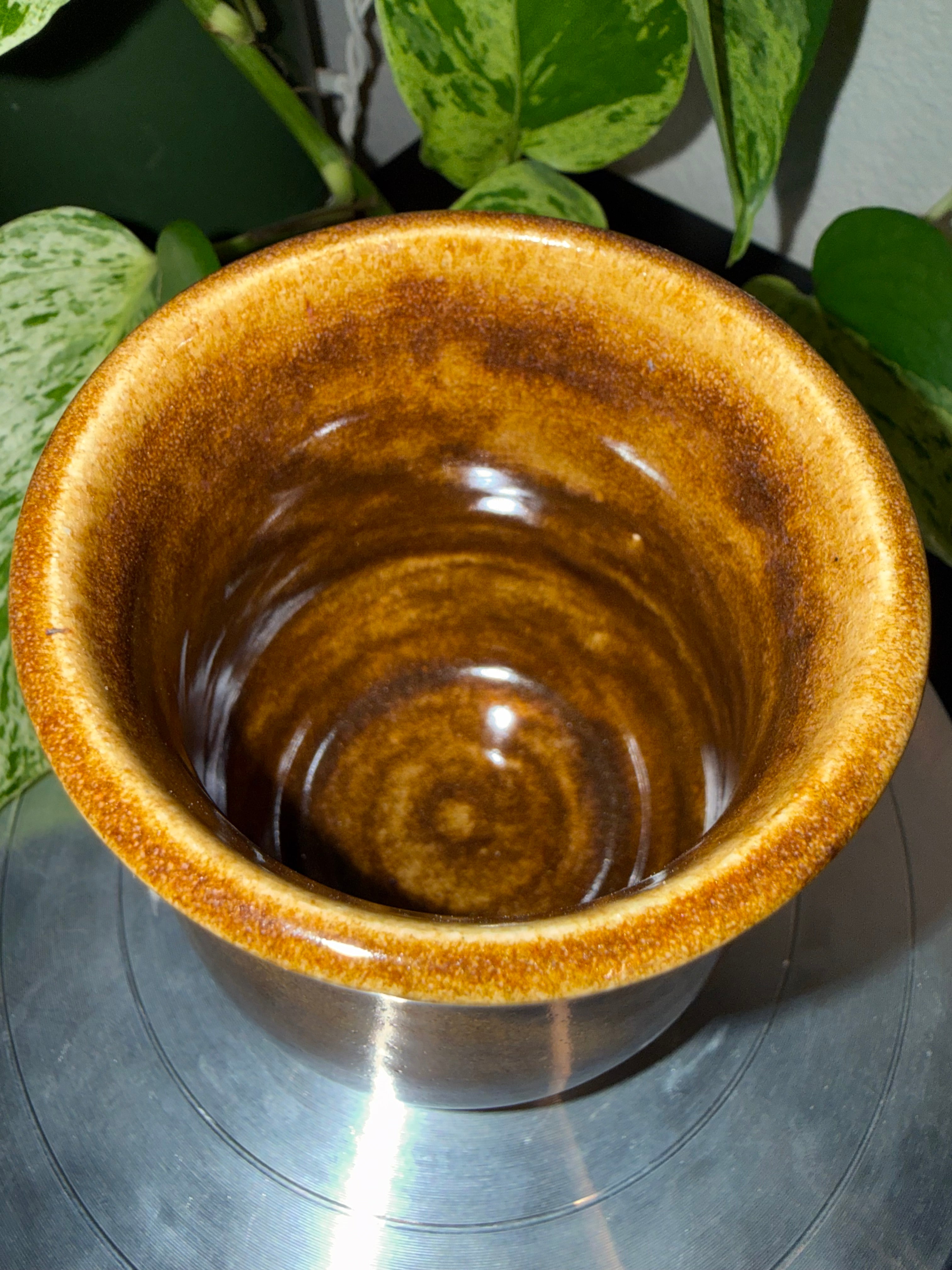 Tigers Eye Pen Pot