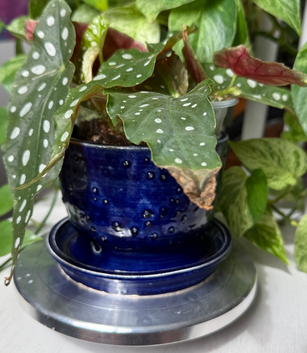 Blue Planter - 5”