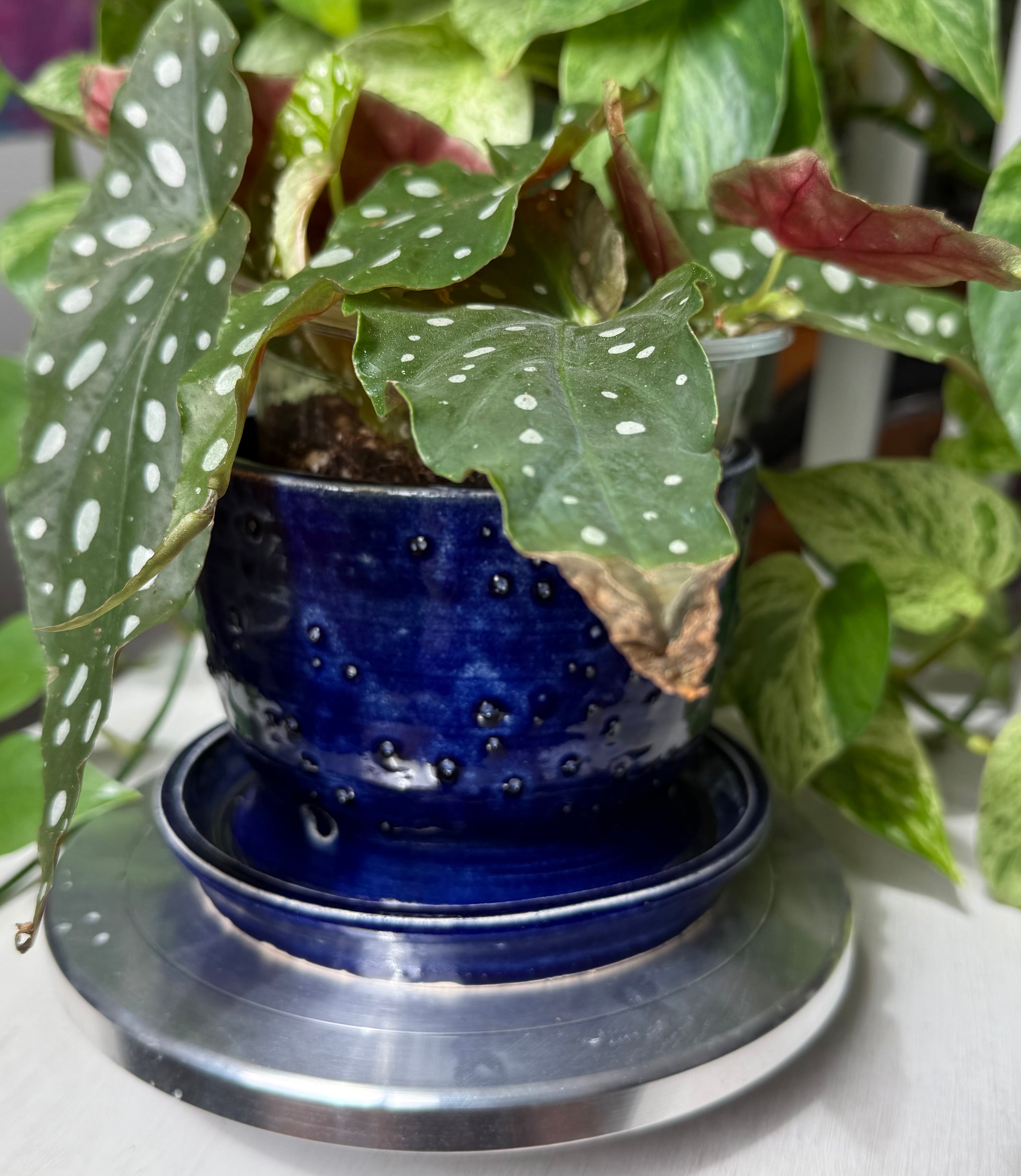 Blue Planter - 5”