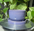Purple Planter - 3”