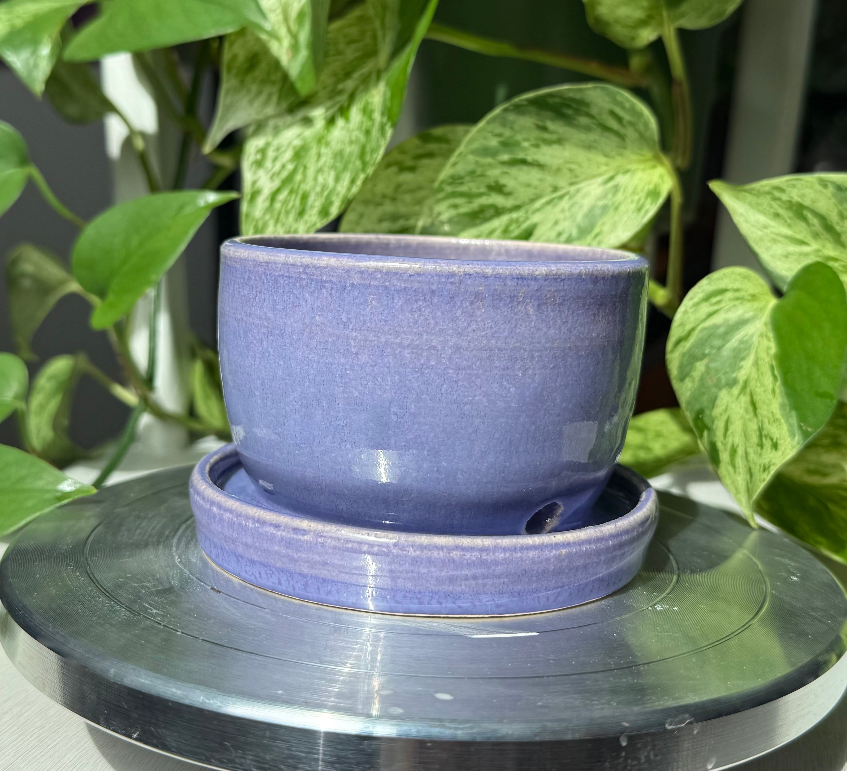 Purple Planter - 3”