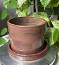 Reddish Brown Planter - 5”
