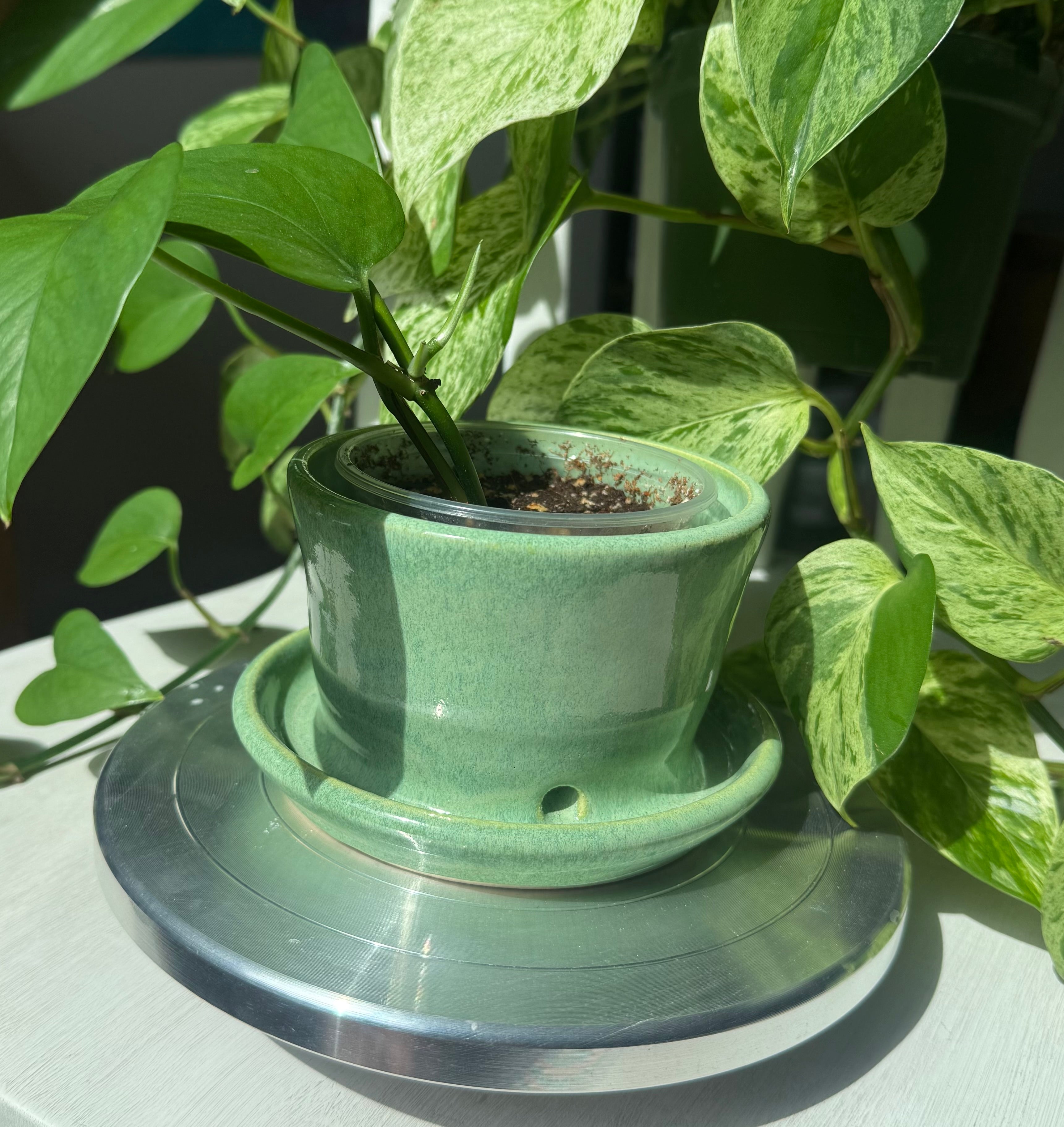 Green Planter - 3”