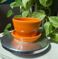 Orange Planter - 3”