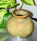 Bud Vase