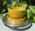 Yellow Planter - 3”