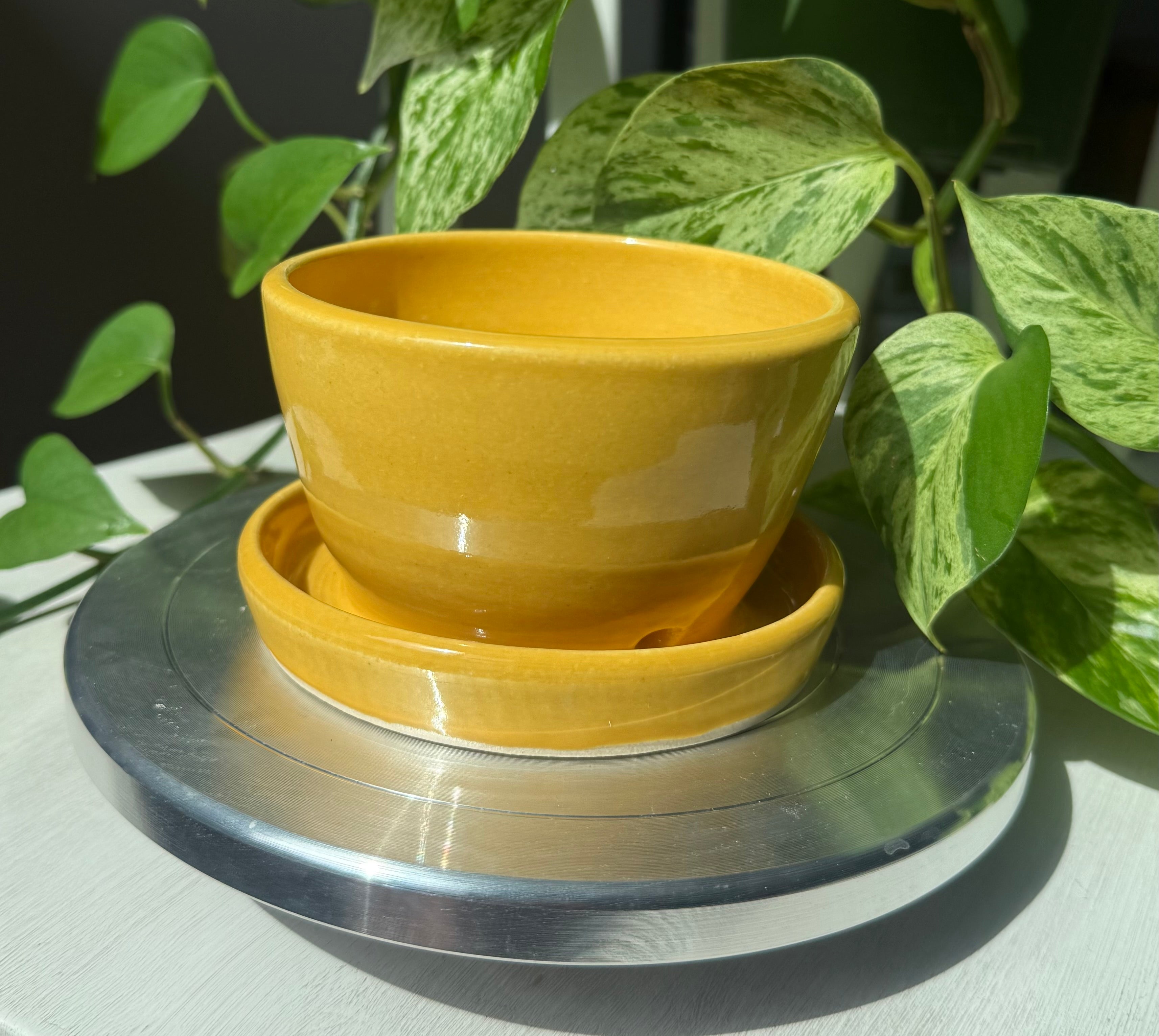 Yellow Planter - 3”