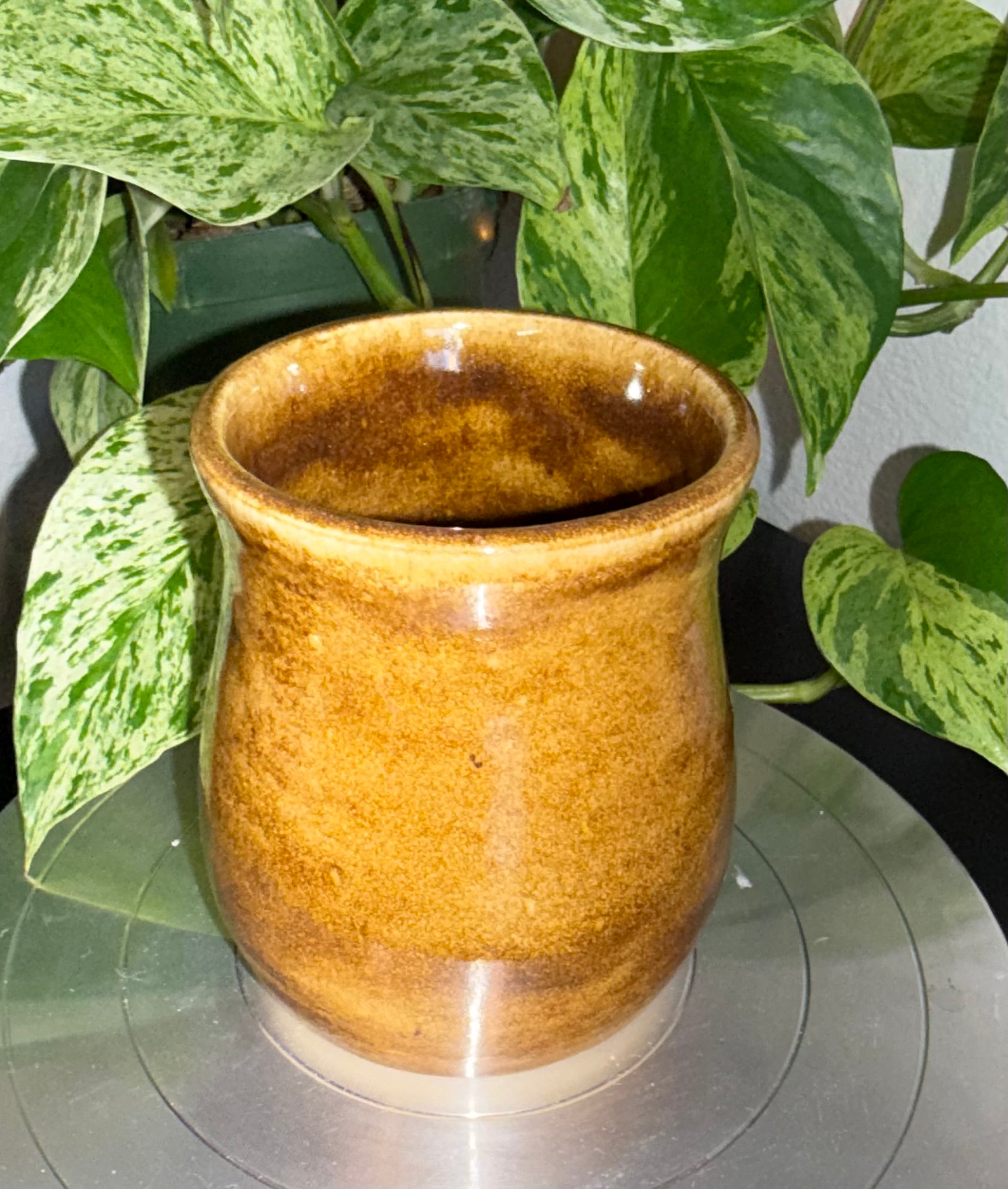 Tigers Eye Pen Pot