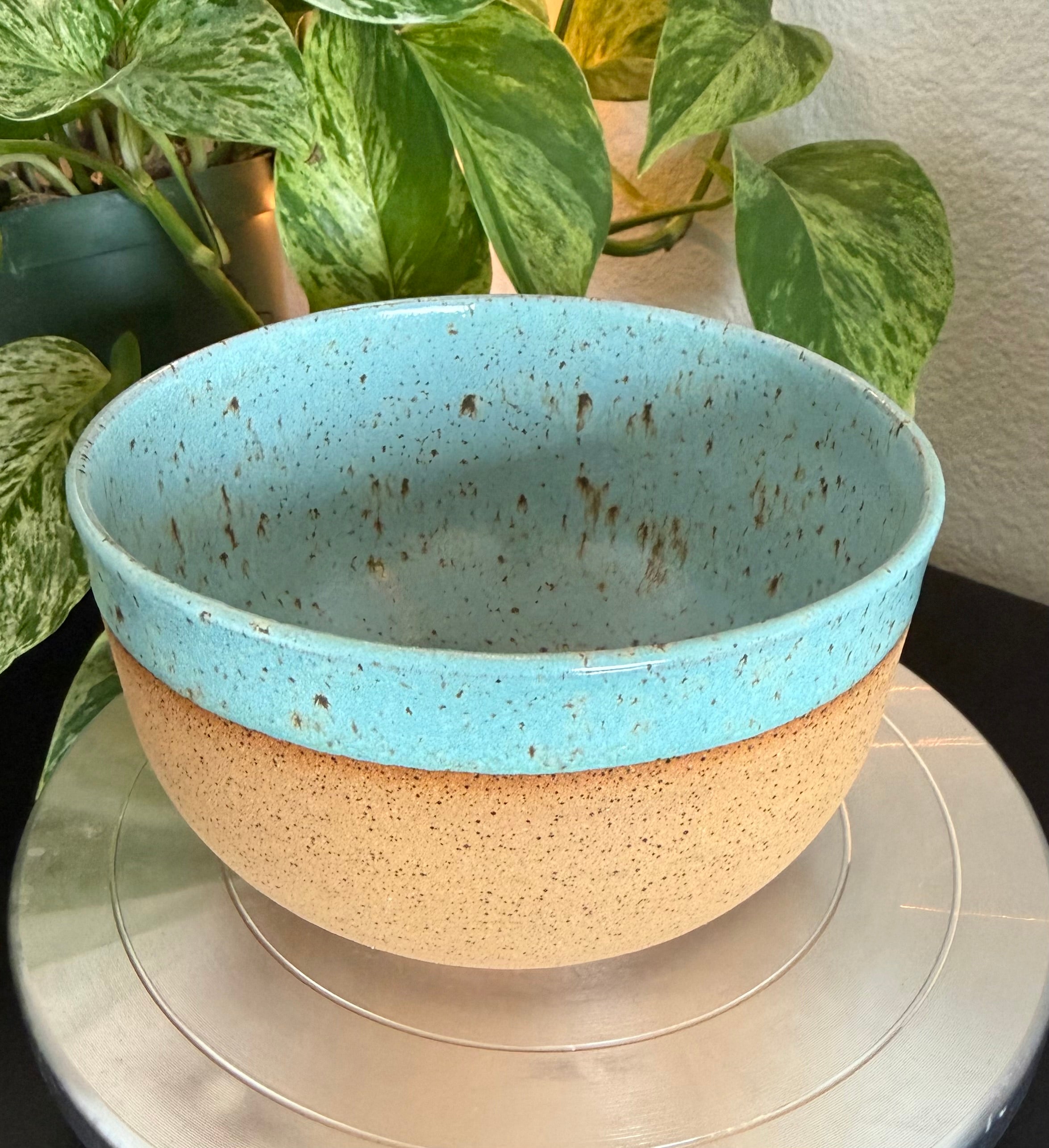 Robin Egg Bowl