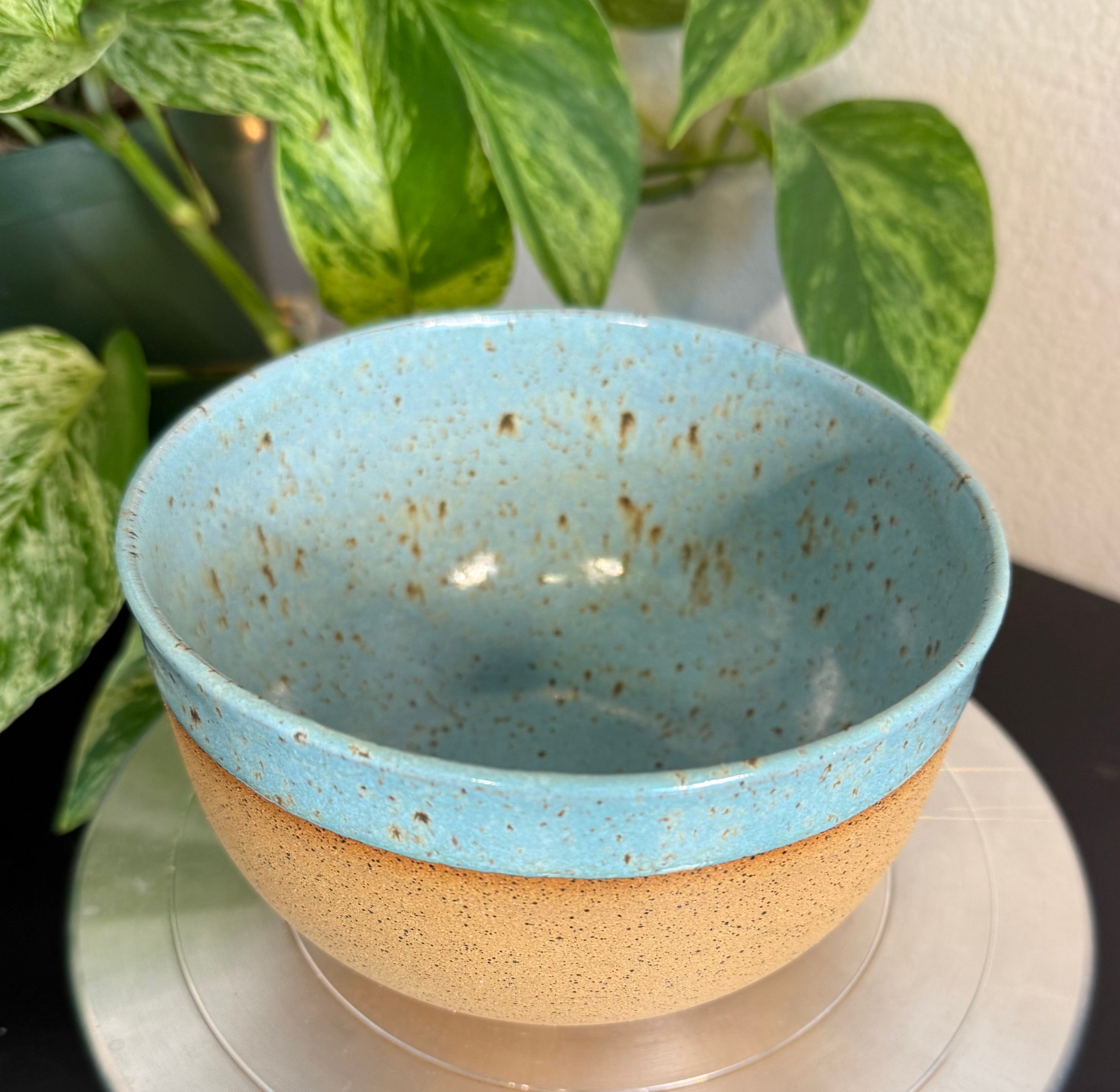 Robin Egg Bowl