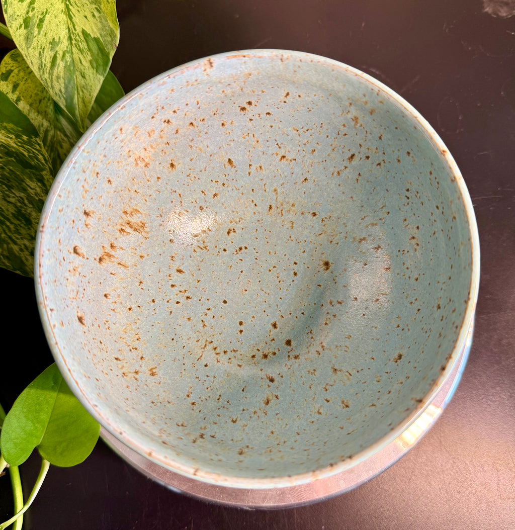 Robin Egg Bowl