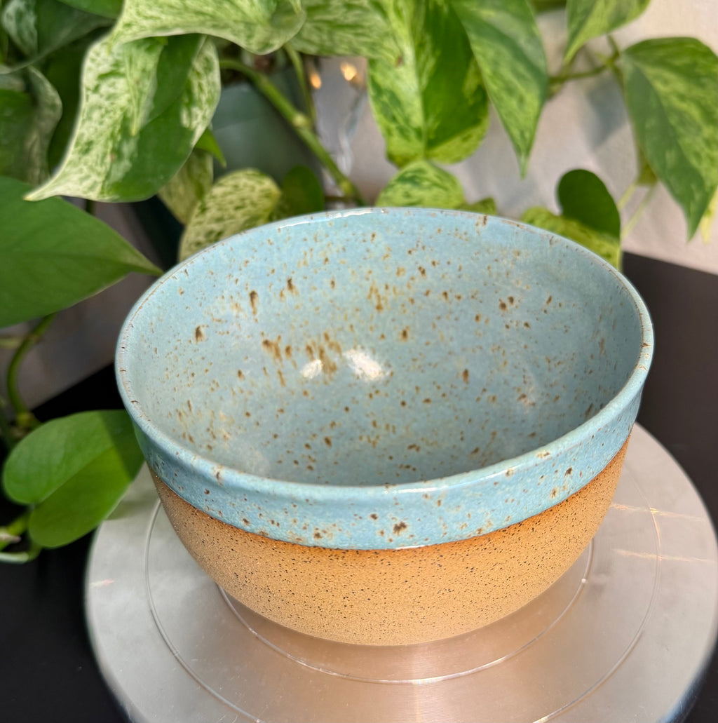 Robin Egg Bowl